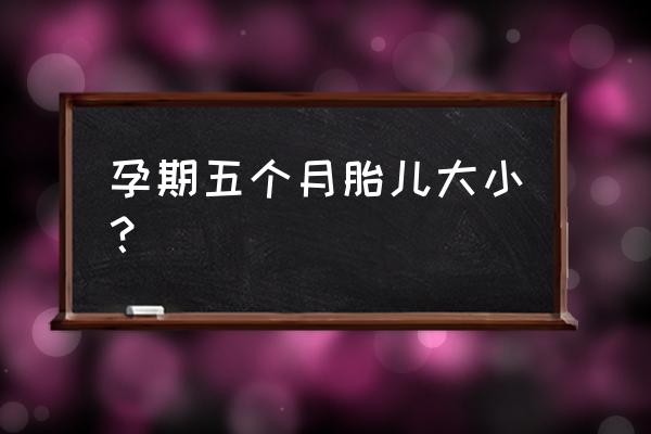 五个月胎儿大小 孕期五个月胎儿大小？