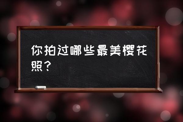 《甜蜜禁忌》樱花 你拍过哪些最美樱花照？