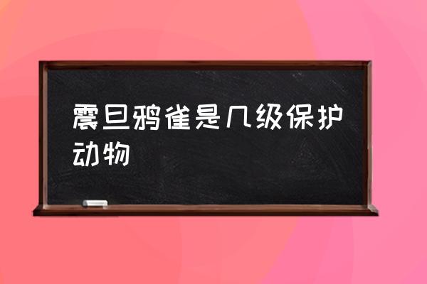 刚买了一只震旦鸦雀 震旦鸦雀是几级保护动物