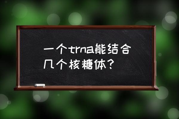 真核核糖体结合位点 一个trna能结合几个核糖体？