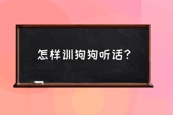 怎么训狗听话 怎样训狗狗听话？