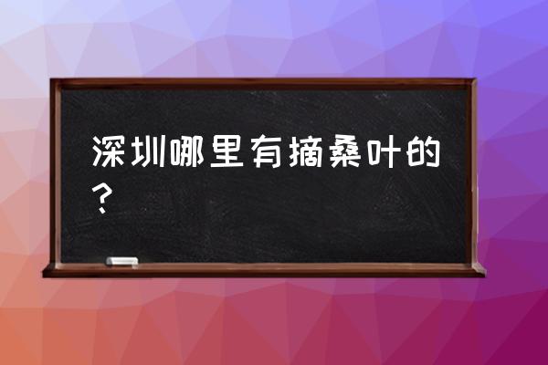 深圳果园农家乐 深圳哪里有摘桑叶的？