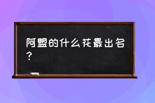 蒙古扁桃介绍 阿盟的什么花最出名？