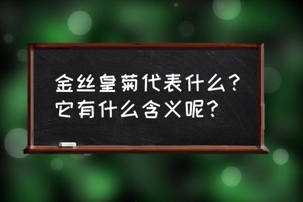 喝金丝皇菊有什么好处 金丝皇菊代表什么？它有什么含义呢？