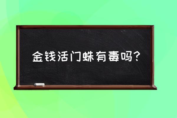 金钱活门蛛 十万元 金钱活门蛛有毒吗？