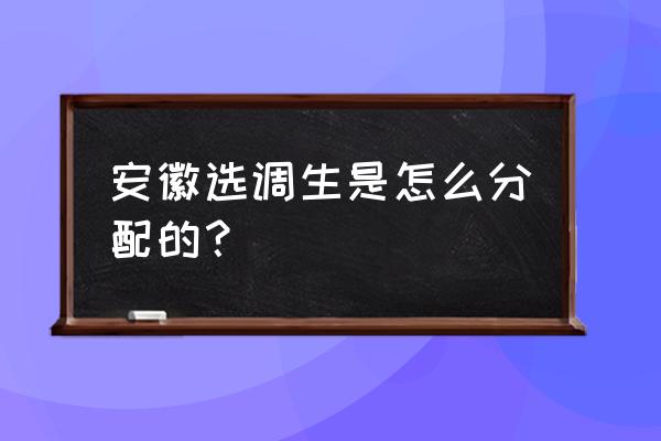 安徽省选调生一般选调去哪 安徽选调生是怎么分配的？