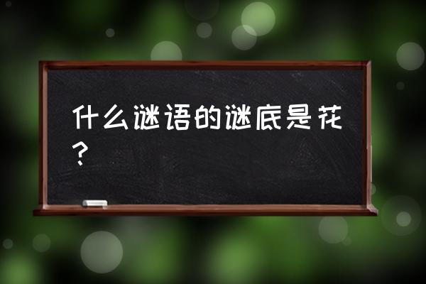 谜底是花的谜语 什么谜语的谜底是花？