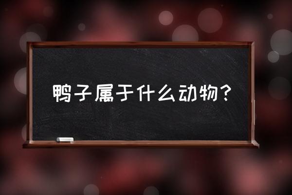 鸭子是一种什么动物 鸭子属于什么动物？