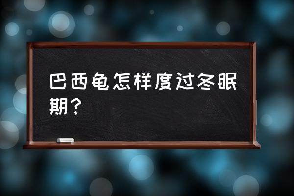 巴西龟冬天怎么冬眠 巴西龟怎样度过冬眠期？