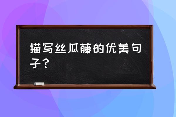 丝瓜藤与肉豆须700字 描写丝瓜藤的优美句子？