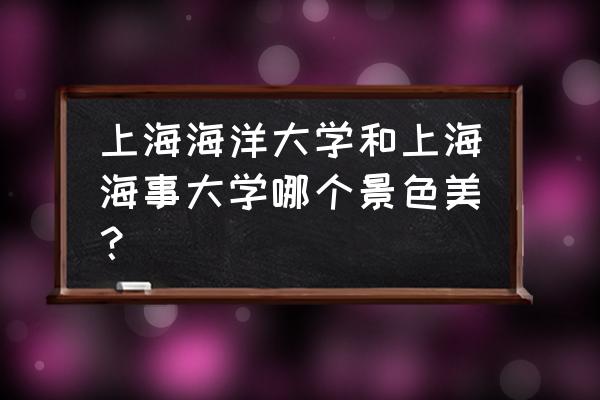 上海海事和上海海洋 上海海洋大学和上海海事大学哪个景色美？