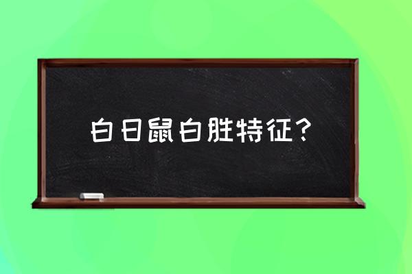 白日鼠白胜是什么星 白日鼠白胜特征？