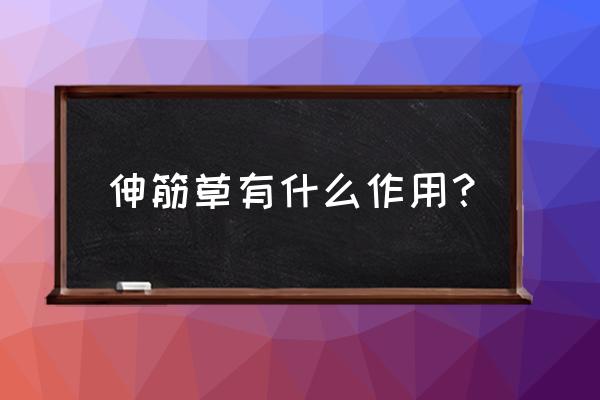 伸筋草的功效与作用及禁忌 伸筋草有什么作用？