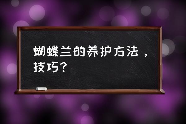 蝴蝶兰养殖技巧 蝴蝶兰的养护方法，技巧？