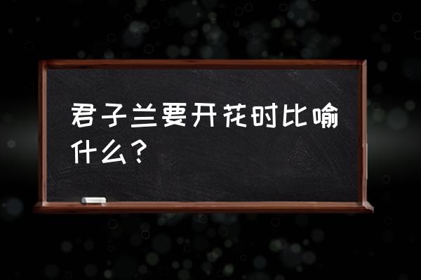 君子兰开花家里吉兆 君子兰要开花时比喻什么？