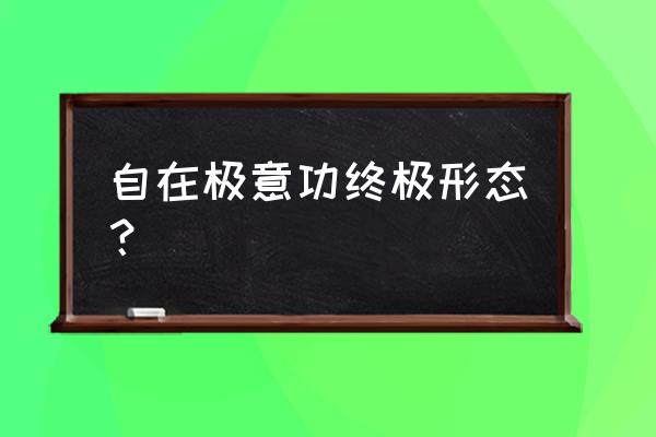 完美自在极意功 自在极意功终极形态？