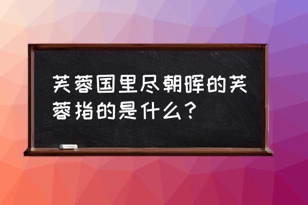 芙蓉国里尽朝晖指的是哪方 芙蓉国里尽朝晖的芙蓉指的是什么？