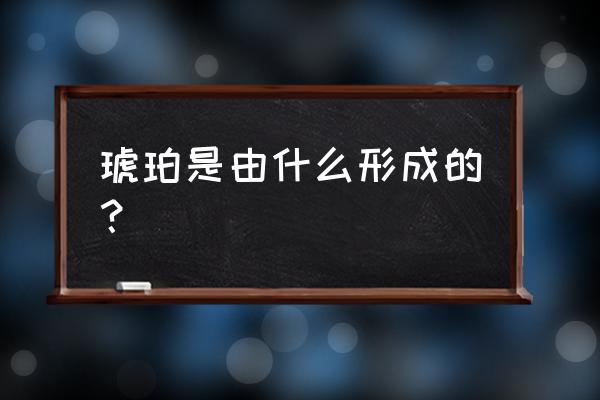 琥珀是由什么形成的 琥珀是由什么形成的？