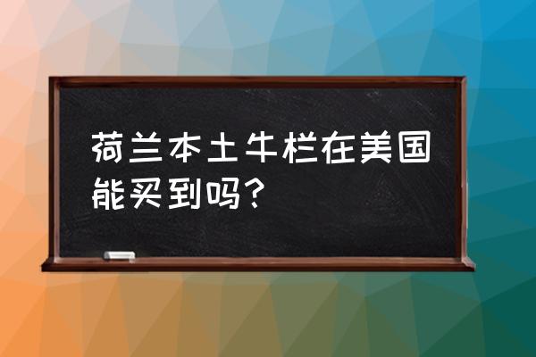 荷兰本土牛栏 荷兰本土牛栏在美国能买到吗？