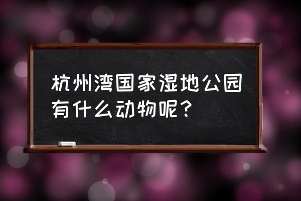 杭州湾湿地公园景色 杭州湾国家湿地公园有什么动物呢？