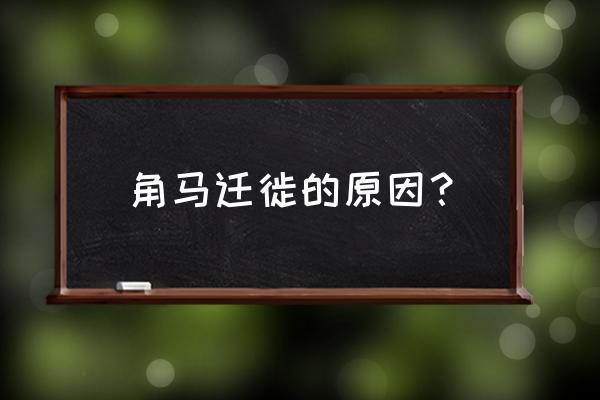 角马大迁徙的原因 角马迁徙的原因？