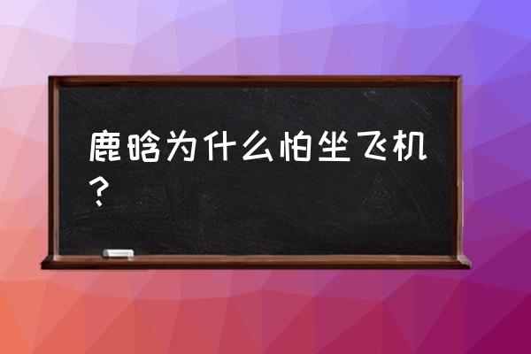 鹿晗不能坐飞机的真正原因 鹿晗为什么怕坐飞机？