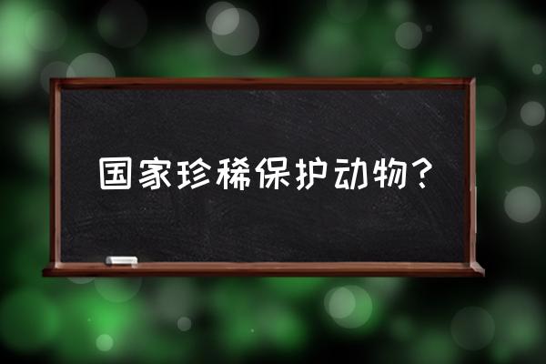 中国珍稀动物都有哪些 国家珍稀保护动物？