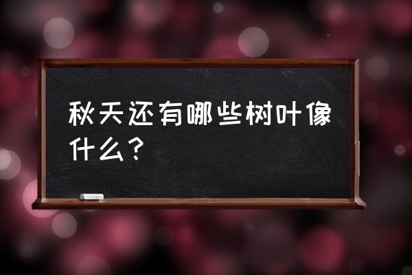 秋天有什么叶子像什么 秋天还有哪些树叶像什么？