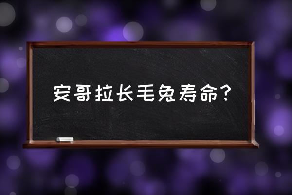 安哥拉长毛兔寿命 安哥拉长毛兔寿命？