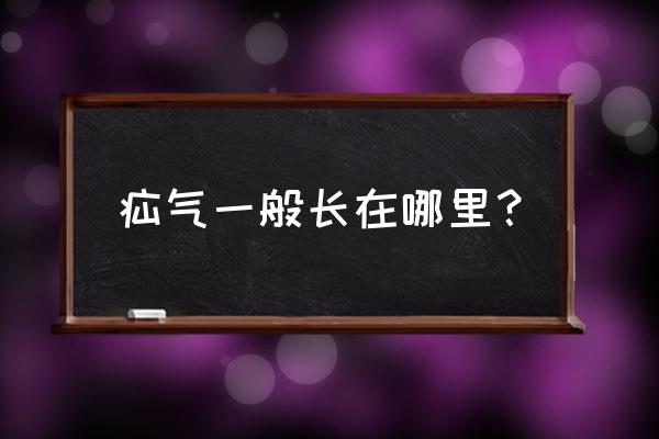 疝气是什么部位 疝气一般长在哪里？