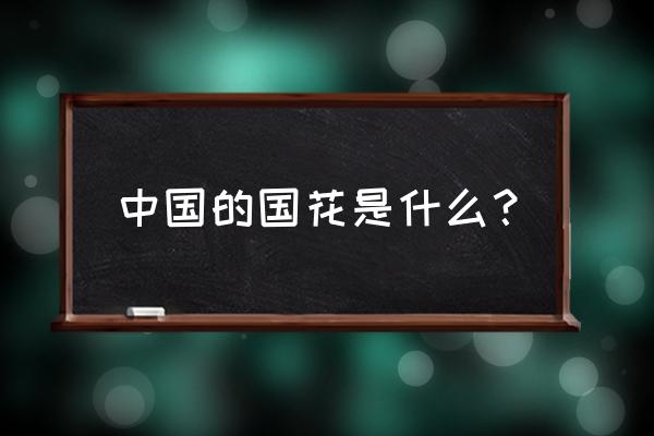 目前中国的国花是什么 中国的国花是什么？