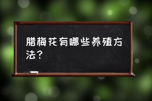 腊梅花的养殖方法 腊梅花有哪些养殖方法？