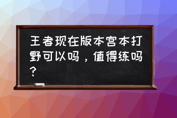 仙元天下1.0版本 王者现在版本宫本打野可以吗，值得练吗？