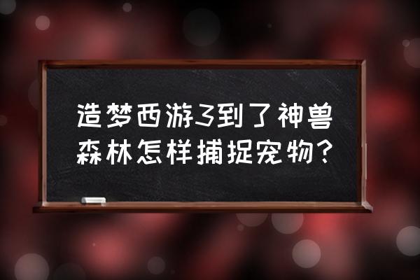 造梦西游3神兽森林捕获后 造梦西游3到了神兽森林怎样捕捉宠物？