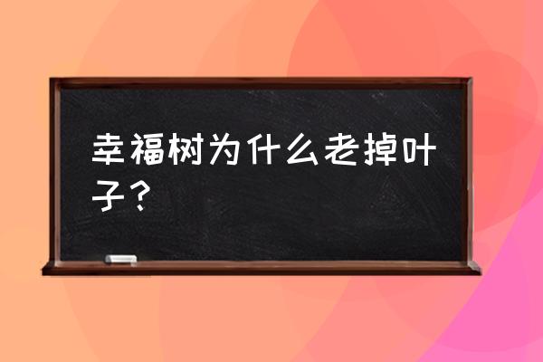 幸福树严重掉叶子 幸福树为什么老掉叶子？