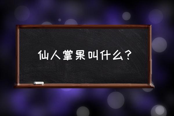 仙人掌果实叫什么 仙人掌果叫什么？