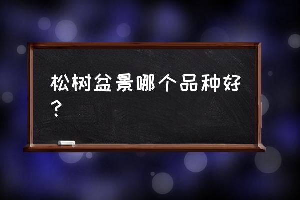 松树盆景用哪种松树好 松树盆景哪个品种好？