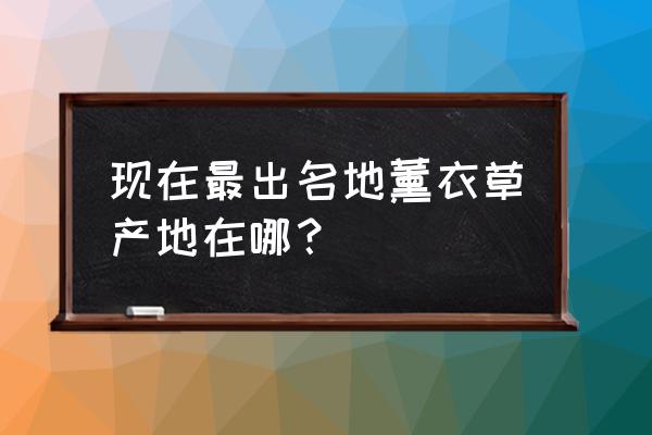 薰衣草主要产地 现在最出名地薰衣草产地在哪？