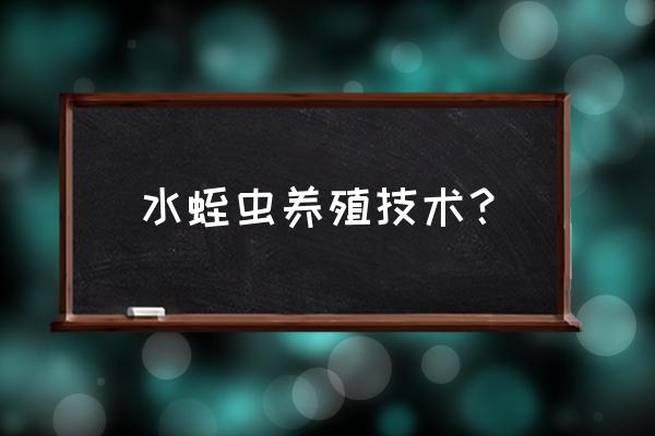 水蛭人工养殖技术 水蛭虫养殖技术？