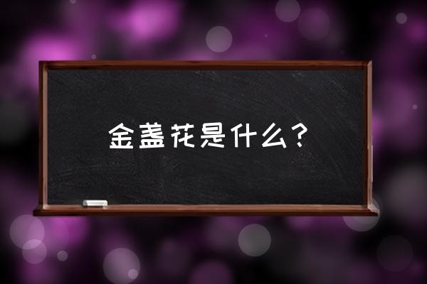 金盏花是什么花 金盏花是什么？