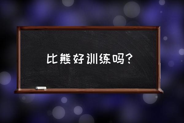 比熊犬好不好训练 比熊好训练吗？