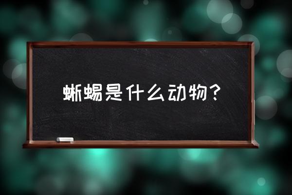 蜥蜴是什么动物 蜥蜴是什么动物？