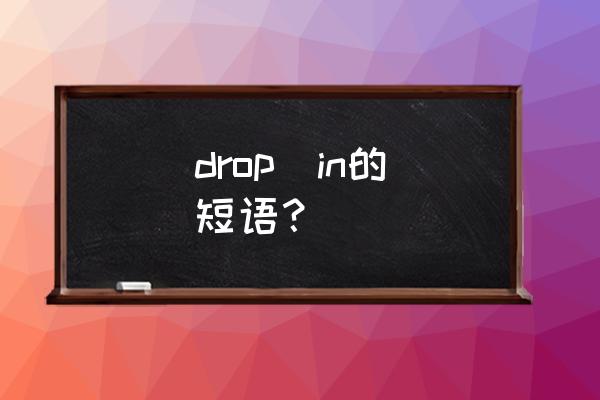 顺便拜访英文 drop  in的短语？