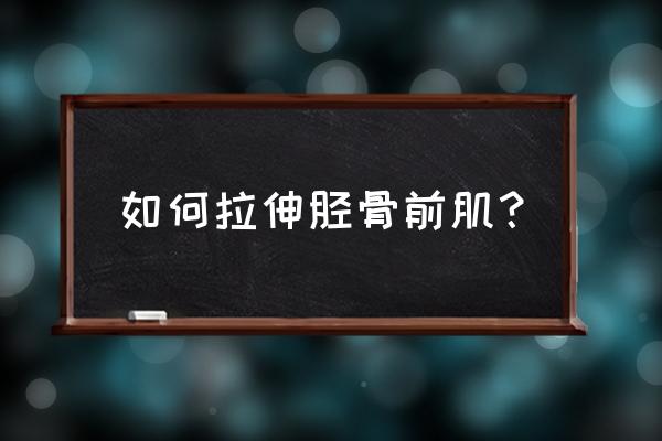 胫骨前肌功能作用 如何拉伸胫骨前肌？