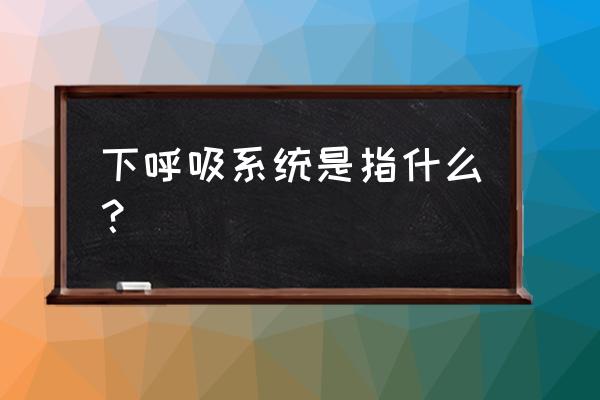 下呼吸道的组成 下呼吸系统是指什么？