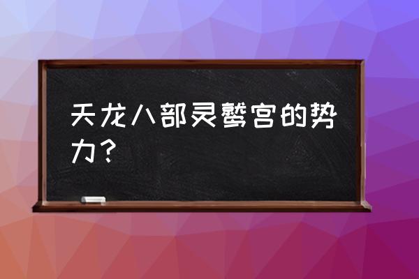 天龙八部灵鹫宫势力有多大 天龙八部灵鹫宫的势力？