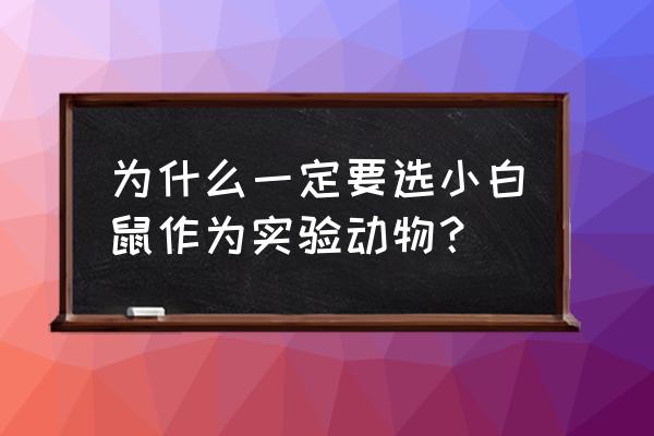 小白鼠实验心得体会 为什么一定要选小白鼠作为实验动物？