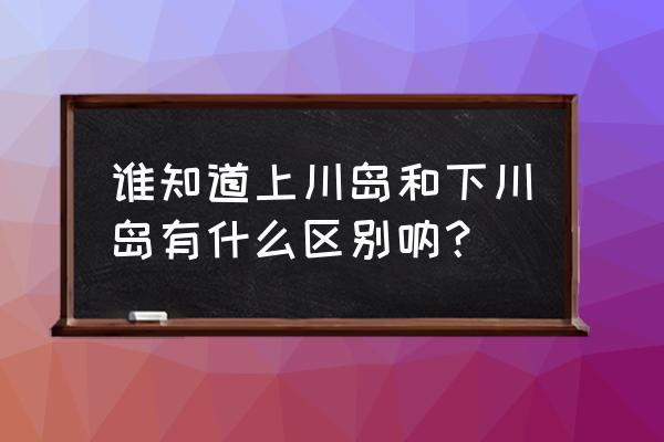 上川岛和下川岛的区别 谁知道上川岛和下川岛有什么区别呐？