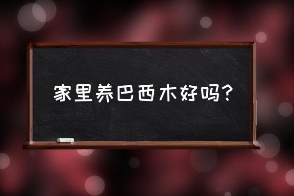 为什么家里不能养巴西木 家里养巴西木好吗？