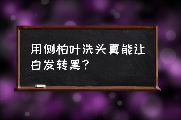 侧柏叶生发偏方 用侧柏叶洗头真能让白发转黑？